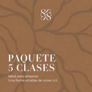 PAQUETE 5 CLASES