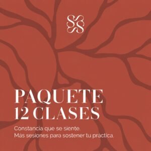 PAQUETE 12 CLASES