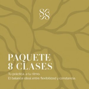 PAQUETE 8 CLASES